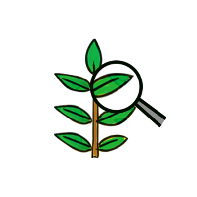 <center><b><div style="color:green;font-size:20px;">Paushtik Life <br>Exp Center</div></b></center> <br>
<center><div style="color:grey;font-size:15px;">A hub for in-house shopping, food festivals, cooking workshops as well as a library for student internship & research work. Act as a Resource Person in school,colleges, SHG & FPC.</div></center>
